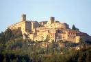 montone.jpg