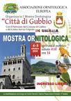 mostra ornitologica.jpg