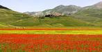 piana castelluccio.jpg