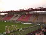 stadio curi.jpg